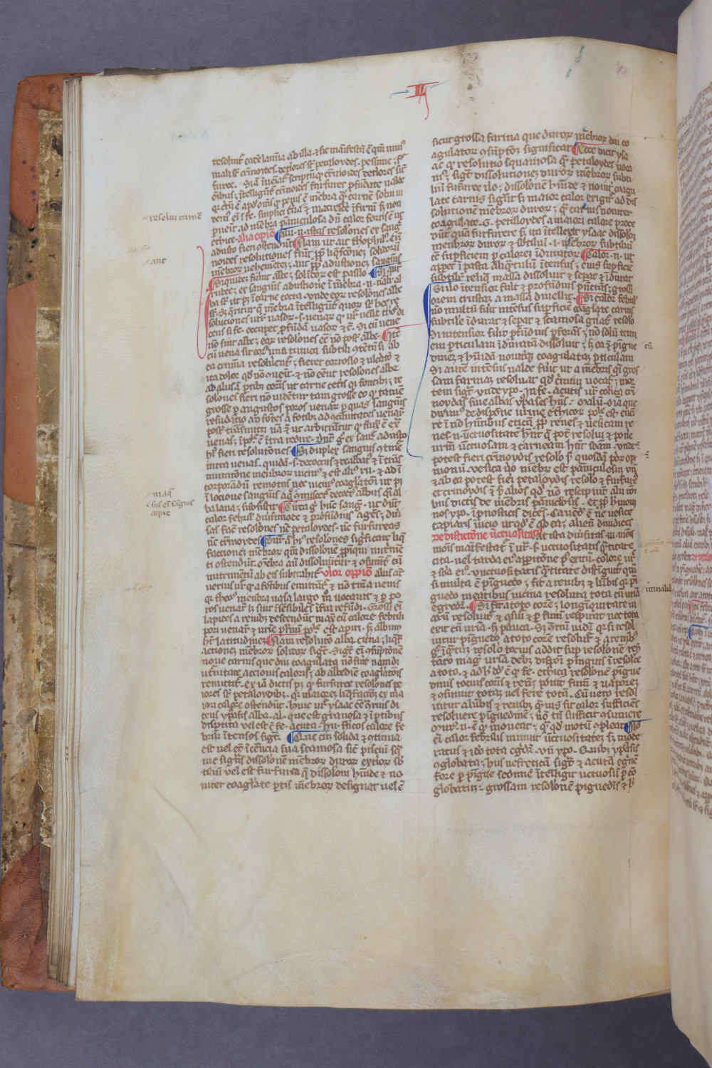 Folio 28 verso